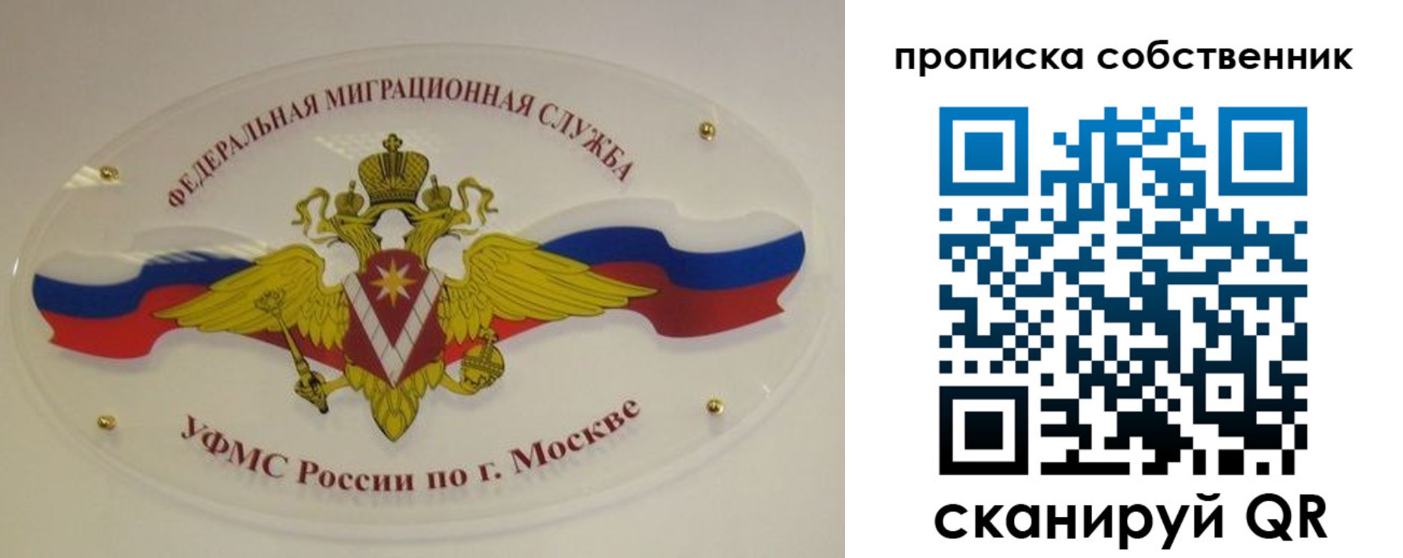 прописка 2025 в Можге